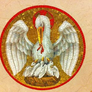 The Pelham Parish Pelicans